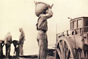 1930:  μεταφορά
του προϊόντος στα πλοία 
Πηγή: ΤΙΤΑΝ- 100 years, Λεύκωμα