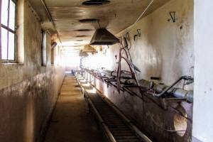 φωτό: Μαριλένα Βακαλοπούλου_11/02/2018