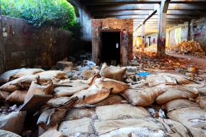 φωτο Ηρ.Φασουράκης 30-05-2015