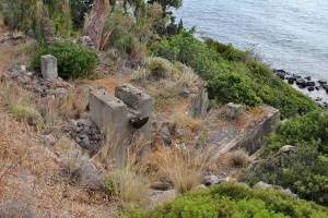 φωτογραφικό αρχείο κας Νατάσσας Χαράτση Αρβανιτογιάννη, 11-05-2018