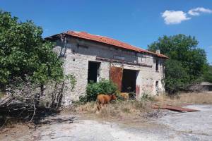 Αρχείο Ηρ.Φασουράκη 20-08-2020
