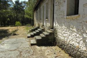 Το κτίριο γραφείων
φωτ.αρχείο: Κώστας Ζερμπίνος_23/7/2020