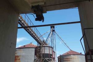 φωτο Ηρ.Φασουράκης 17-05-2018