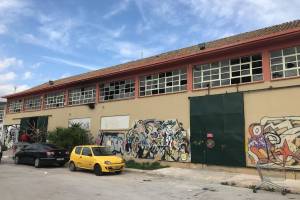 Φωτογραφικό αρχείο κας Ειρήνης Γρατσία, 08-03-2020