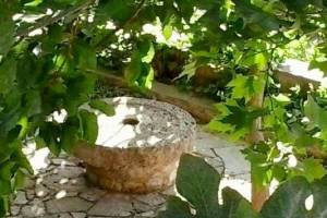 Πηγή : https://www.messinia24.gr/%CE%B5%CE%BB%CE%B1%CE%B9%CE%BF%CF%84%CF%81%CE%B9%CE%B2%CE%B5%CE%AF%CE%BF-%CE%BA%CE%AC%CF%84%CF%89-%CE%B2%CF%81%CF%8D%CF%83%CE%B7%CF%82-%CE%BA%CE%AC%CF%84%CF%89-%CE%B2%CE%AD%CF%81%CE%B3%CE%B1-1835-1/