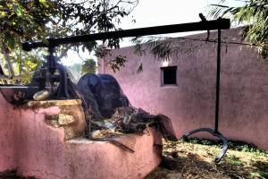 Φωτ. αρχείο Κων/νου Ιατρού- 2021