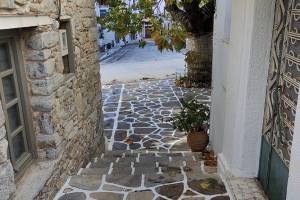 07 ...προς το μύλο που φέρεται να βρισκόταν στη θέση αυτή που είναι ο πλάτανος  (Αρχείο Π.Αναματερού 20/12/2021)