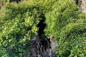 Ο κάναλος της άφουκλας όπως φαίνεται από ψηλά, χωμένος στη βλάστηση (Αρχείο Π. Αναματερού 31/12/2021)