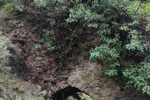 Η άφουκλα πνιγμένη στα φυτά και κάτω από αυτήν τοξωτή δίοδος (Αρχείο Π. Αναματερού 31/12/2021)