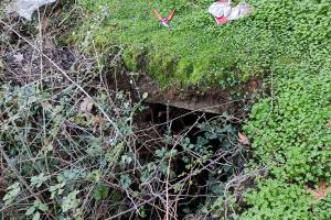 Εδώ, από κάτω από την άφουκλα, ίσα που διακρίνεται η είσοδος του χώρου του μυλωνά (Αρχείο Π.Αναματερού 31/12/2021)