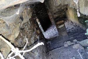 Το εσωτερικό της κατοικίας του μυλωνά, όπως απαθανίστηκε με δυσκολία, λόγω των πυκνών βάτων που έχουν καλύψει την είσοδο (Αρχείο Π.Αναματερού 31/12/2021)