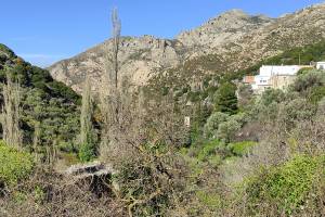 Ισα που φαίνεται ο κάναλος της άφουκλας του μύλου πνιγμένος στην οργιώδη βλάστηση (Αρχείο Π.Αναματερού 31/12/2021)