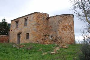 Λήψη: 20-1-2022 Αρχείο Βαγγέλης Χαρίτος