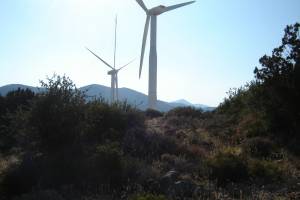 Φωτογραφία της ανεμογεννήτριας ΑΟΑ 600. Λήψεις Ιουνίου-Ιουλίου 2008.
