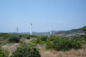 Φωτογραφία της ανεμογεννήτριας ΑΟΑ 600. Λήψεις Ιουνίου-Ιουλίου 2008.