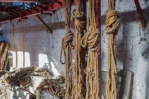Αρχείο φωτογραφιών κου Γ.Καφαντάρη 18-12-2019