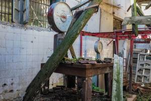 Αρχείο φωτογραφιών κου Γ.Καφαντάρη 18-12-2019