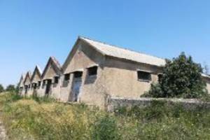 φωτογραφικό Αρχείο κας Ι.Μ.Παπαδάκη, 20-07-2022