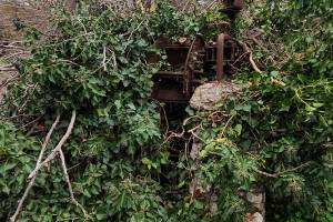 Το μαγκανοπήγαδο χωμένο και αυτό στη βλάστηση (φωτό Π.Αναματερός 20-12-2022)