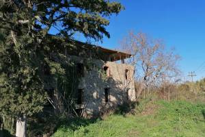Φωτογραφικό αρχείο κου Β.Σταματάκος 27-12-2022
