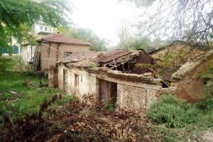 Φωτογραφικό αρχείο κας Νάσιας Φαναράκη, 02-2023