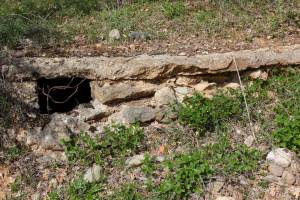 Αρχείο κ. Δ. Τερτίπη, από την προσωπική σελίδα του, δημοσίευση: "Εκδρομή στη Θεσσαλία" https://www.dtert.gr/excursions/Thessalia/