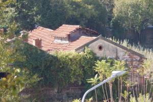 Αρχείο κου Γεώργιου Παπασουλιώτη, 17-10-2024