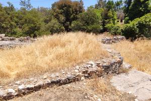 Η στέρνα χορταριασμένη και απομεινάρια της άφουκλας (Αρχείο Π.Αναματερού 26/6/2024)