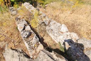 Απομεινάρια της άφουκλας (Αρχείο Π.Αναματερού 24/5/2022)