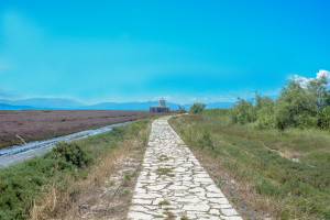 Πηγή: https://nskoufas.gr/location/o-faros-tis-koprainas/