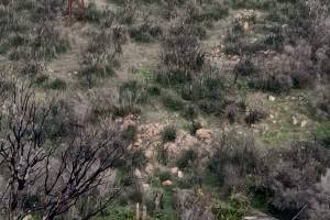 Πυλώνες εναέριου προς εγκατασταση εμπλουτισμού στην Κίρκη, Αρχείο Ηρακλή Φασουράκη 09-11-2025