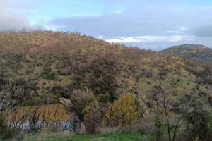 Πυλώνες εναέριου προς εγκατασταση εμπλουτισμού στην Κίρκη, Αρχείο Ηρακλή Φασουράκη 09-11-2025