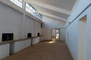 Αρχείο Ηρ.Φασουράκη, 16-11-2025