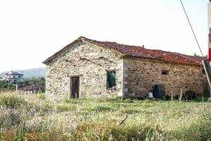 φωτο: Θωμάς Νεδέλκος_16/8/2017 