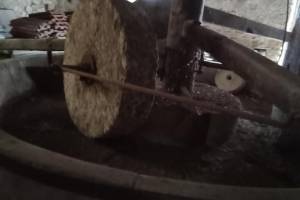 Πηγή : Προσωπικό αρχείο κας Μ.Κοντογεώργη, 03-01-2026