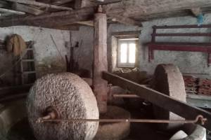 Πηγή : Προσωπικό αρχείο κας Μ.Κοντογεώργη, 03-01-2026