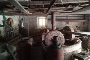 Πηγή : Προσωπικό αρχείο κας Μ.Κοντογεώργη, 03-01-2026