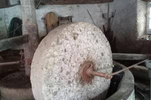 Πηγή : Προσωπικό αρχείο κας Μ.Κοντογεώργη, 03-01-2026