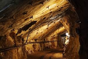 Αρχείο κου Τ.Γρηγοράκη, 02-04-2025