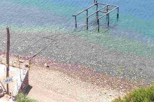 Σκάλα φόρτωσης, Αρχείο Ηρ.Φασουράκη 29-05-2021