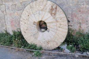 Μυλόπετρα από τον αλευρόμυλο του Καστρινάκη. (27.05.10) Φωτ/ση: Κατερίνα Περάκη Πηγή: https://www.facebook.com/photo/?fbid=350461945004789&set=a.350461888338128