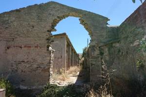 φωτογραφικό αρχείο κας Τ.Κάρκα 30-07-2020