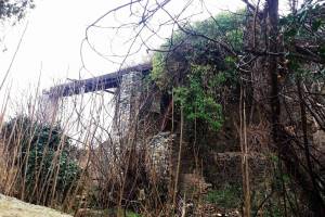 φωτο Ηρ.Φασουρακης 04-02-2019