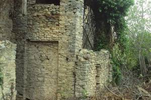 φωτ. αρχειο: Ιωάννης Μωραϊτόπουλος_12-01-2019
