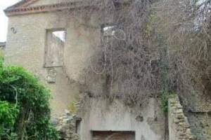 φωτ. αρχειο: Ιωάννης Μωραϊτόπουλος_12-01-2019