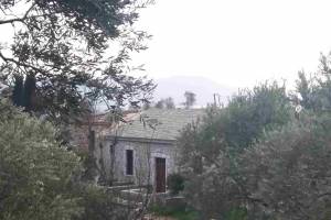 Πίσω όψη , φωτο Ηρ.Φασουράκης , 03-02-2019