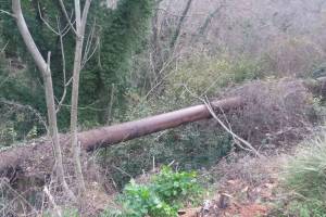 φωτογραφικό αρχείο κου Ι.Μωραϊτόπουλος, 03-02-2019