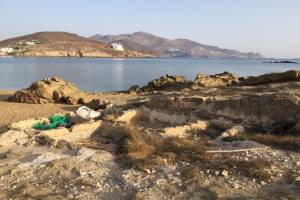 Ασβεστόλακοι στην παραλία της Φτελιάς,φωτογραφικό αρχείο κας Δήμητρα Λοΐζου-Βουλγαράκη 09-06-2018