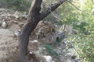 αρχείο κας Δώρας Τσιλιγκίρη, 08-2019