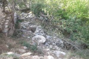 αρχείο κας Δώρας Τσιλιγκίρη, 08-2019